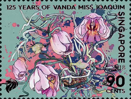 125 Years of Vanda Miss Joaquim