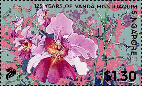 125 Years of Vanda Miss Joaquim