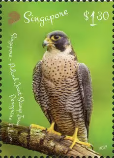 Singapore-Poland Joint Stamp Issue