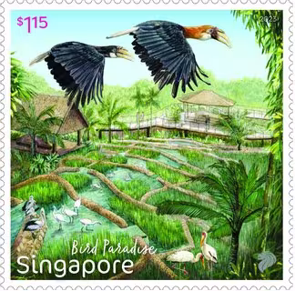 Bird Paradise