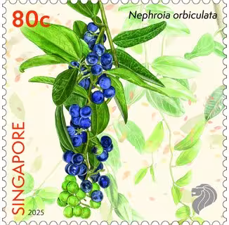 Critically Endangered Flora of Singapore – Flora of Coastal Forests