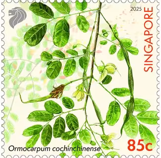 Critically Endangered Flora of Singapore – Flora of Coastal Forests