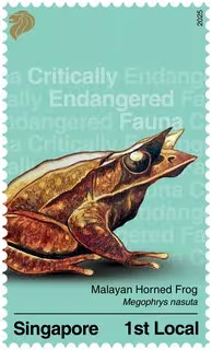 Critically Endangered Fauna of Singapore