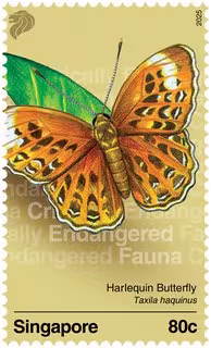 Critically Endangered Fauna of Singapore