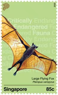 Critically Endangered Fauna of Singapore