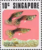 Fish Series