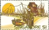 Scenic Series