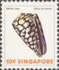 Sea Shells Definitives