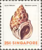 Sea Shells Definitives