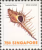 Sea Shells Definitives