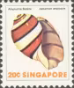 Sea Shells Definitives