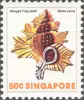 Sea Shells Definitives