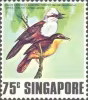 Singing Birds
