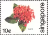 Flowers of Singapore