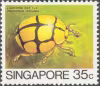 Insects Low Value Definitives