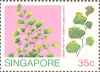 Ferns of Singapore