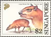 Animal Series - Southeast Asian Mammals