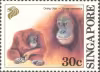 Animal Series - Southeast Asian Mammals
