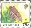 Nature Series - Butterflies