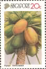 Nature Series - Local Fruits