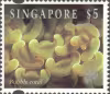 Corals and Reef Life Definitives High Values