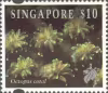 Corals and Reef Life Definitives High Values