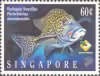 Marine Fish
