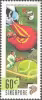XXVIth Olympiad 1996, Atlanta