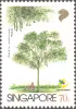 Trees