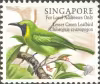 Song Birds