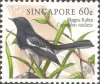 Song Birds