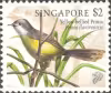 Song Birds