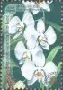 Singapore-Australia Joint Stamp Issue and Exhibition