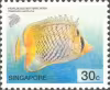 Tropical Marine Fishes