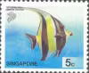 Tropical Marine Fishes