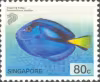 Tropical Marine Fishes