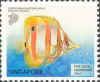 Tropical Marine Fishes