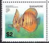 Tropical Freshwater Fishes Definitives - High Values