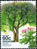 Heritage Trees