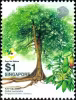 Heritage Trees