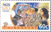 100th Year of University Education