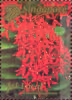Singapore-Japan Joint Stamp Issue