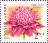 Flora and Fauna Definitives
