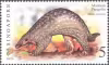Flora and Fauna Definitives