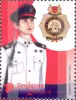 Uniformed Groups in Schools