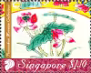 Peranakan Museum Collection
