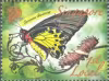 Nature Series - Butterflies