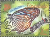 Nature Series - Butterflies