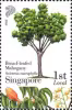 Know 10 Trees