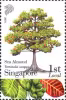 Know 10 Trees